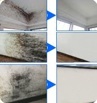 Colle Étanche Transparente